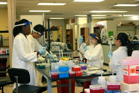 Left Side Bar Image 5 at Forensicscienceeducation.org - The Center for Forensic Science Research and Education offers forensic science education and training to police, attorneys and officers of the court.